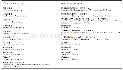 表2 广西红树林的群落类型Table 2 Community type of mangroves in Guangxi