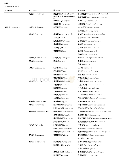 表1 广西山口红树林保护区昆虫调查名录(2018年)