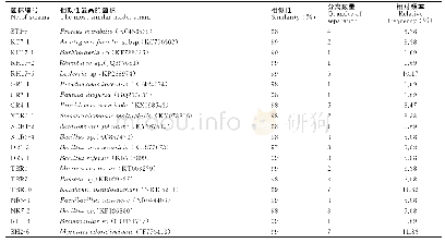 表1 牛大力内生细菌分布及相对频率