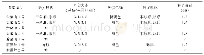 表3 野生突肋茶果实、种子主要形态特征