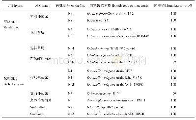 表3 云斑白条天牛幼虫肠道内可培养细菌16S r DNA序列比对结果