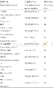 《表1 草鱼与其他物种ROCK1基因氨基酸序列的同源性比较》