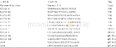 《表2 ROCK1基因克隆及荧光定量PCR所用引物Table 2 ROCK1 gene clone and primers used in FQ-PCR》