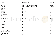 表1 利用geNorm程序分析候选内参基因的稳定值