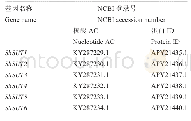 表8 Rio品种的高粱SbSUTs家族成员