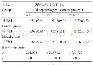 表4 不同时间点各组胰腺组织病理学评分比较(±s,n=10)