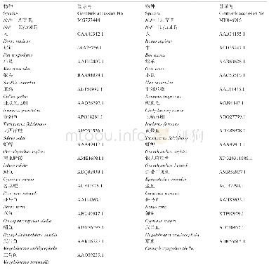 表2 IGF-Ⅰ和IGF-Ⅱ序列比对和系统进化分析所用物种的序列登录号