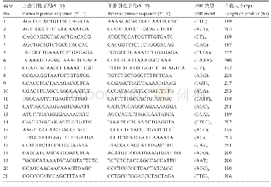 表3 SSR引物在不同波纹唇鱼个体中的扩增多态性