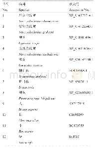 表1 青海湖裸鲤AP-1氨基酸序列比对和系统进化树所用物种信息