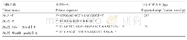 表1 引物信息：Marc145细胞源DCP2基因克隆及其X1亚型蛋白高免血清制备