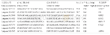 表3 荧光定量PCR验证选取的基因及引物序列