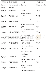 表1 翼首草与其他植物SQS蛋白同源性比较