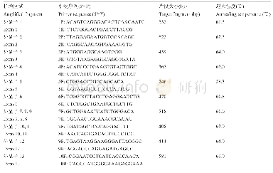 表5 麦洼牦牛CYP4A11基因的引物序列