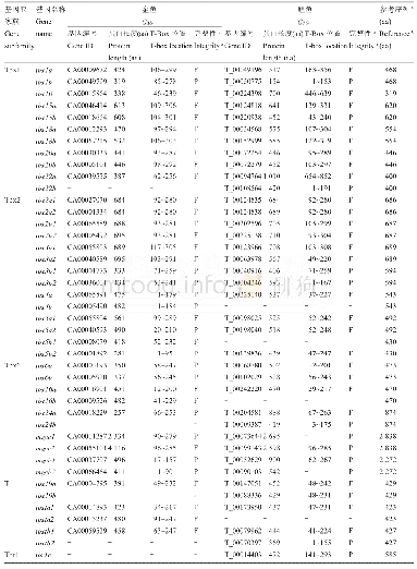 《表1 金鱼和鲤鱼T-box基因家族信息》