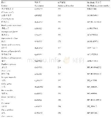 表1 用于本研究的各物种HSP22氨基酸序列