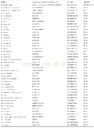 表2 产IAA细菌菌株：云南喀斯特地区土壤中产吲哚乙酸细菌的分离和鉴定