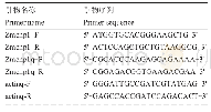 表2 引物：玉米中编码C2结构域蛋白基因Zmcnp1的克隆及表达特性分析