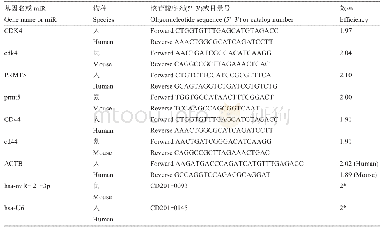表2 Real-Time PCR所用引物