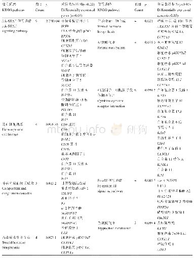 表1 Hep G2细胞中过表达LXRα/RXRA引起上调幅度前100个和下调幅度前100个差异表达显著(p<0.05)基因的KEGG功能分析