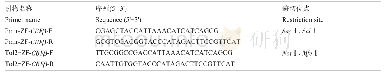 表2 斑马鱼CBFβ基因3'UTR克隆引物序列