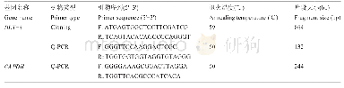 表3 天祝白牦牛DLX-3基因的引物序列