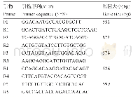 表2 中国荷斯坦牛TLR2基因CDS区引物序列