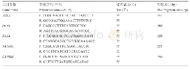 表1 多能性转录因子表达PCR检测引物