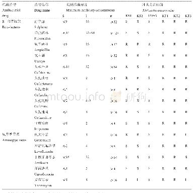 表1 VITEK 2 compact系统及配套GN-13药敏卡检测菌株耐药性