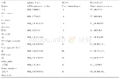 表3 不同物种Gn RHR基因的基本信息