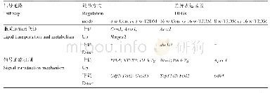 表4 各实验组部分差异表达基因及涉及信号通路统计