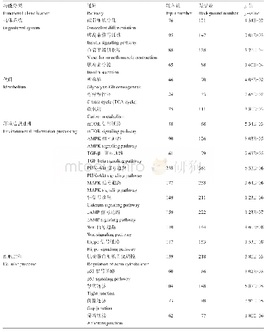 表5 黄颡鱼微卫星分布于外显子的基因KEGG富集