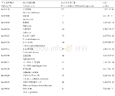 表1 基于差异表达基因的信号通路分析