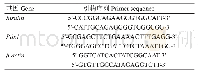 表2 实时荧光定量PCR的引物序列