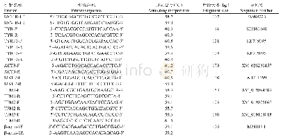 《表1 定量引物信息：金边鲤皮肤黑色素合成及转运相关基因表达分析》