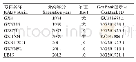表2 广西历年RABV流行株的全基因组序列信息