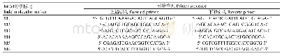 表3 用于QTL qSH11.1定位的InDel分子标记引物序列