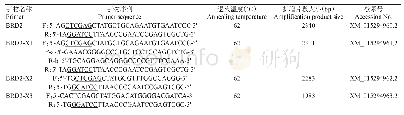 表1 鸡BRD2基因及其不同剪接体的扩增引物序列