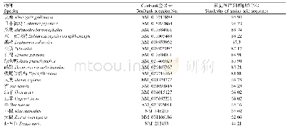 表2 肉鸡与其他物种的CMTR2氨基酸序列相似性比对分析结果