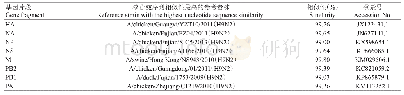 表2 与SW/GX/P2/2011株和SW/GX/P3/2011株各基因片段核苷酸序列相似性最高的参考毒株