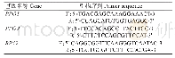 表1 实时荧光定量PCR扩增引物