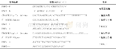 《表1 USP7基因克隆引物Tab.1 Primers used for cloning》