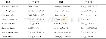 《表3 USP7氨基酸比对GenBank登录号Tab.3 Members of the family of USP7amino acid ratio on GenBank registration n