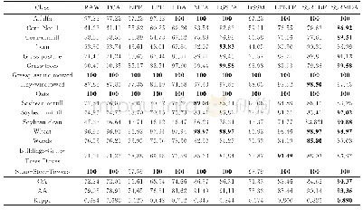 表2 各算法对Indian Pines数据集上每类地物的分类精度
