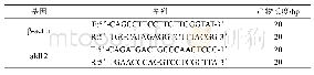 表1 引物序列：aldh2基因表达对氯胺酮诱导的小鼠膀胱炎症及纤维化的影响