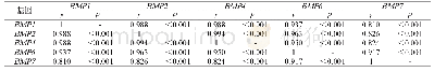 表1 Pearson相关系数分析结果