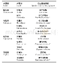 表3 北黄花菜的访花昆虫