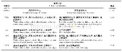 表2 活性菌株菌落形态及生长直径