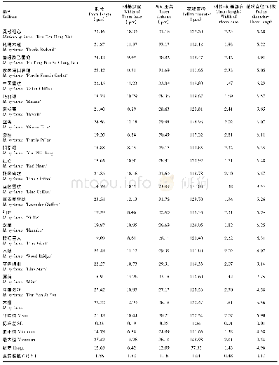 表2 22个木槿品种花粉大小及表面纹饰特征