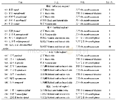 《表1 双须叶须鱼脑颅各区域骨骼的分布Tab.1 The distribution of every region in the neurocranium of Ptychobarbus dipogo