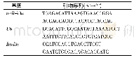 表1 q RT-PCR引物序列